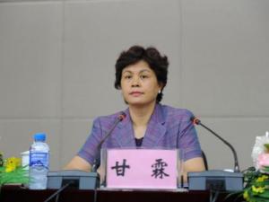 点击查看大图 甘霖-国家工商行政管理总局副局长