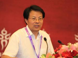 点击查看大图 王忠明-中国民营经济研究会常务副会长