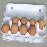 10枚蛋盒