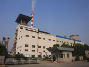 蕭山區開發區熱電有限公司