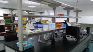 微生物實驗室凈化工程