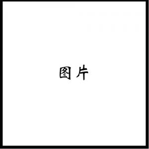 可替代圖片