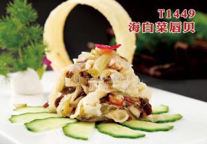 T1449海白菜唇贝 副本