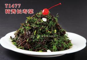 T1477荷秀长寿菜 副本