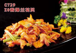 C729xo酱爆兰花贝 副本