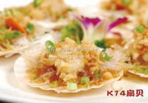 K14扇贝 副本