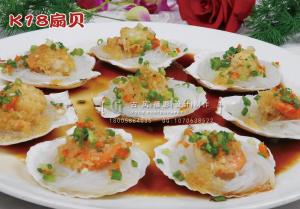 K18扇贝 副本