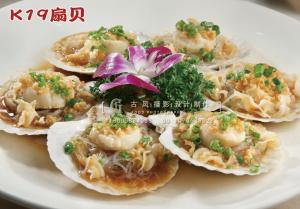 K19扇贝 副本