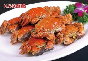 K53湖蟹 副本