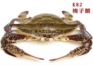 K82梭子蟹 副本