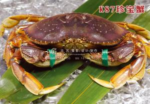 K87珍宝蟹 副本