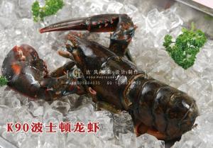 K90波士顿龙虾 副本