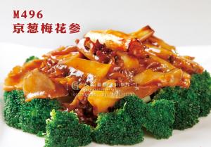 M496京葱梅花参 副本