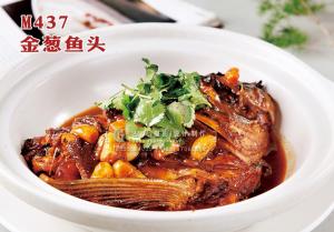 M437金葱鱼头 副本