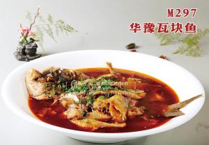 M297华豫瓦块鱼 副本