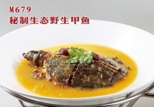 M679秘制生态野生甲鱼 副本