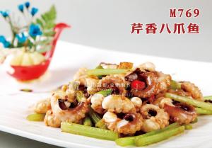 M769芹香八爪鱼 副本