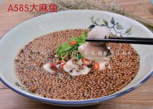 A585大麻鱼