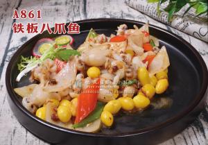 A861铁板八爪鱼 副本