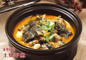 A902土烧甲鱼 副本