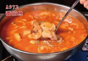 A972番茄鱼 副本