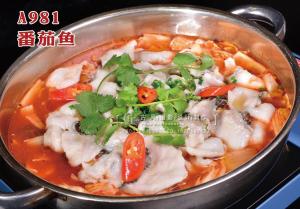 A981番茄鱼 副本