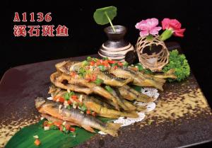 A1136溪石斑鱼