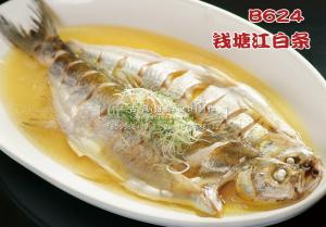 B624钱塘江白条 副本