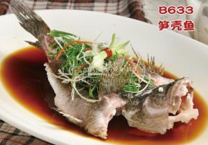 B633笋壳鱼 副本