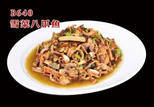 B640雪菜八爪鱼 副本