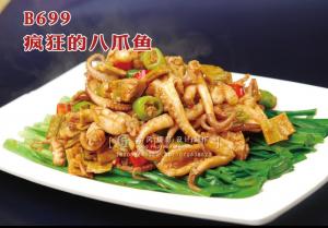 B699疯狂的八爪鱼 副本