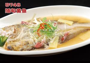 B748缅甸黄鱼 副本