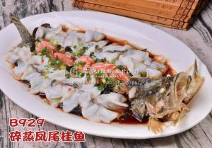 B929碎蒸凤尾桂鱼168 (4) 副本