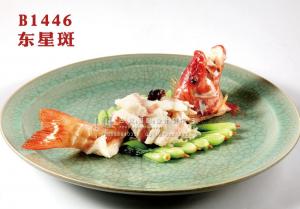 B1446东星斑 副本