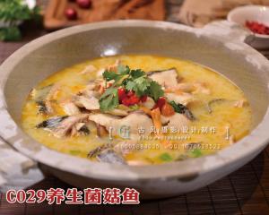 C029养生菌菇鱼 (1) 副本