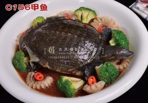 C156甲鱼 (1) 副本