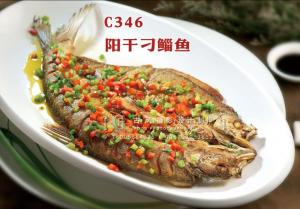 C346阳干刁鲻鱼刁鲻鱼，158元 副本