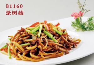 B1160茶树菇 副本