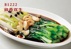 B1222豉香双生 副本