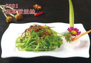 C981虫草荷兰丝 副本