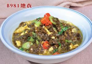 B981地衣 (1) 副本