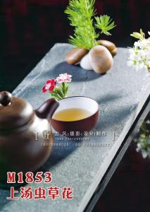 M1853上汤虫草花 副本