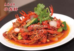 A549小龙虾 副本