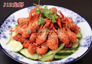 J13龙虾 副本