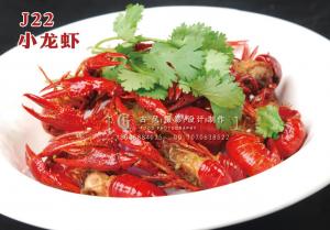 J22小龙虾 副本