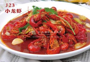 J23小龙虾 副本
