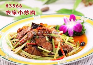 M3566农家小炒肉 副本