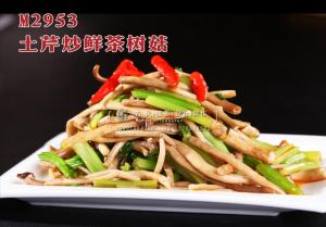 M2953土芹炒鲜茶树菇 副本