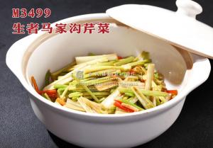 M3499生者马家沟芹菜 副本