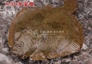 K30多宝鱼 副本